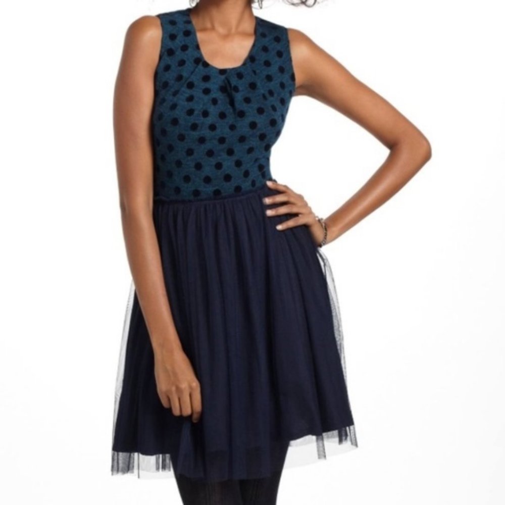 Anthropologie Sparrow Polka Dot Tulle dress